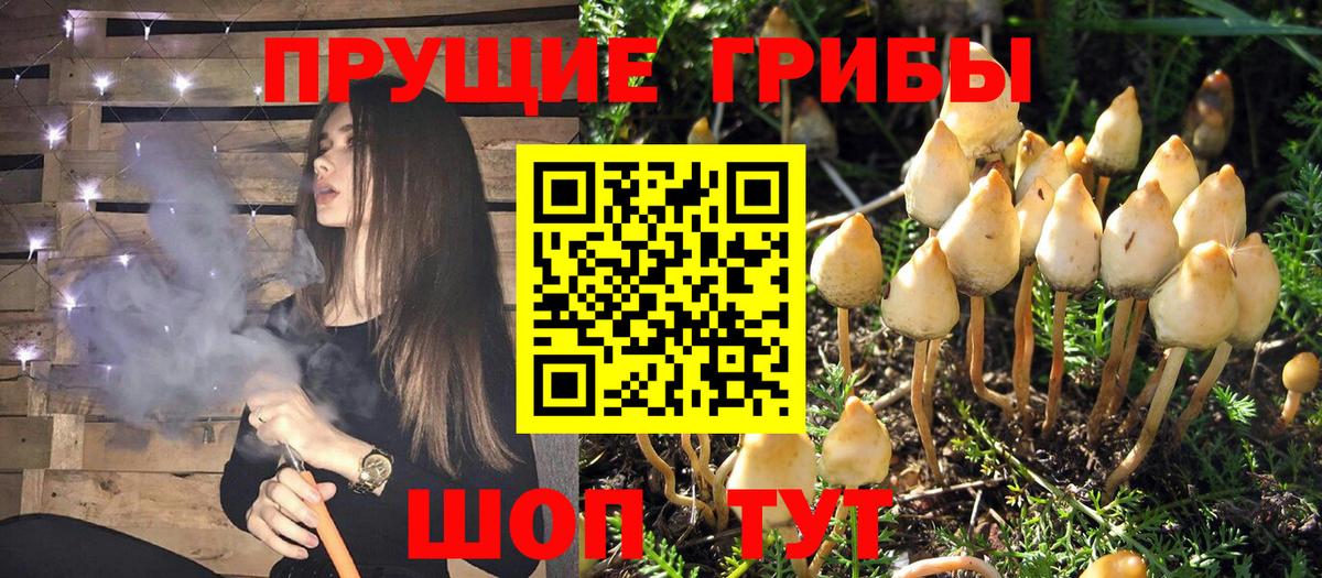 Псилоцибиновые грибы MAGIC MUSHROOMS Урус-Мартан